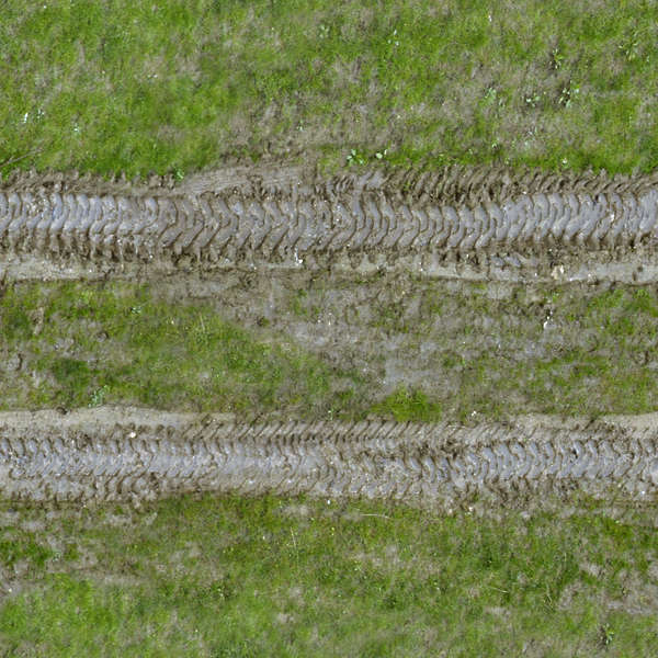 RoadsDirt0005 - Free Background Texture - road grass mud track tracks